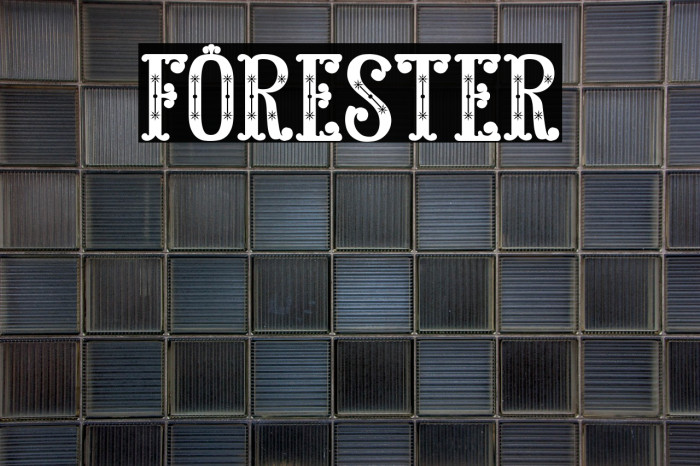 FORESTER Example 1