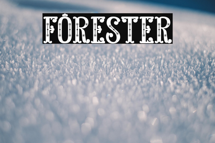 FORESTER Example 3