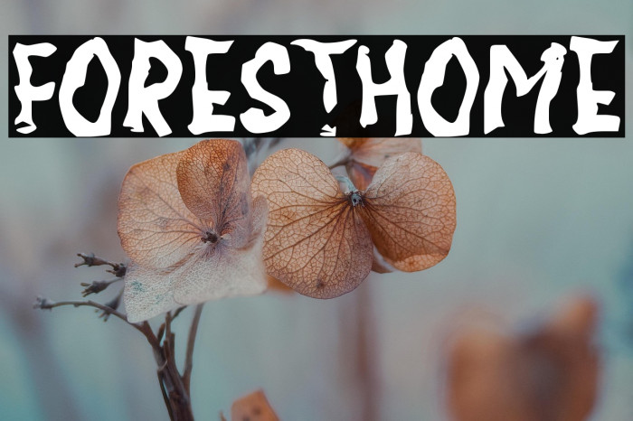 FORESTHOME Example 1