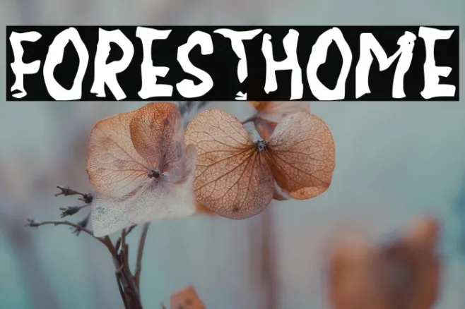 FORESTHOME Example 1