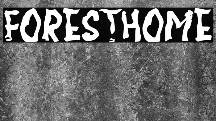 FORESTHOME Example 2