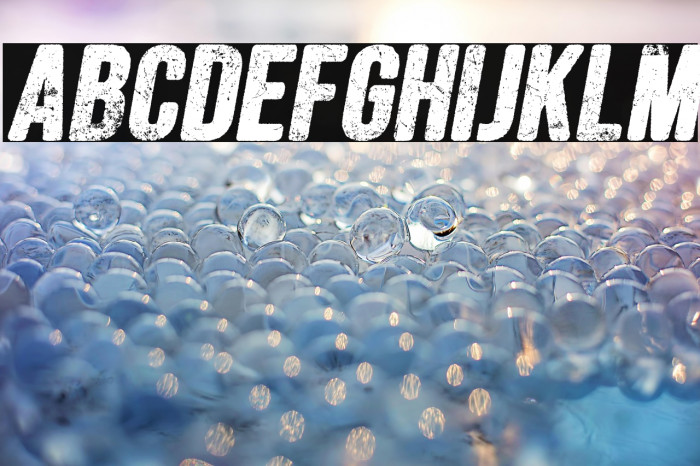 FORESTSITALICPERSONALUSE-Ita Example 1