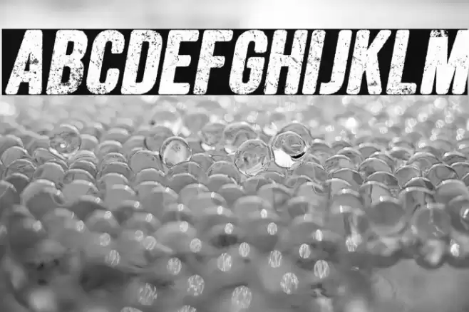 FORESTSITALICPERSONALUSE-Ita Font examples