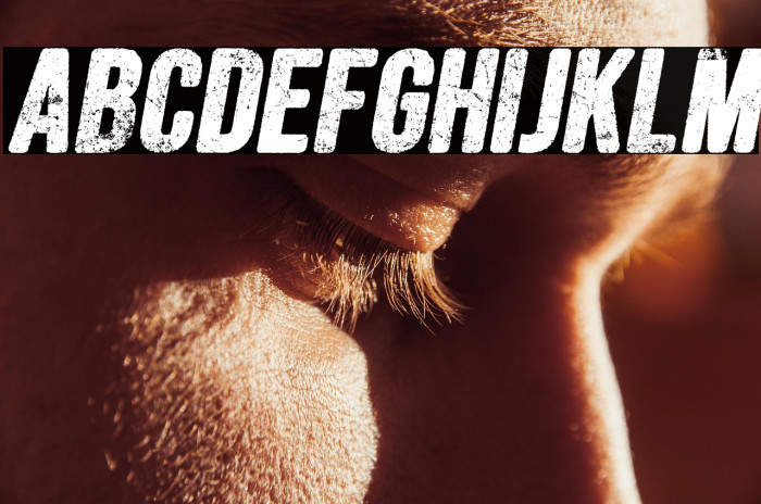 FORESTSITALICPERSONALUSE-Ita Example 2