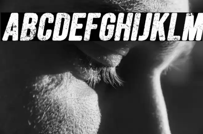 FORESTSITALICPERSONALUSE-Ita Font examples