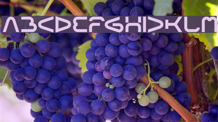 FORMAL ART-Light Example 3