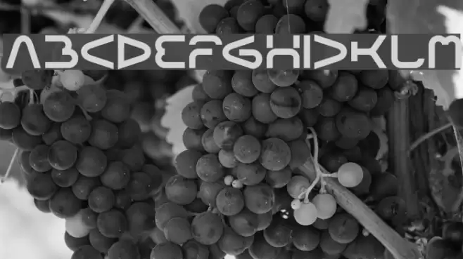 FORMAL ART-Light Font examples