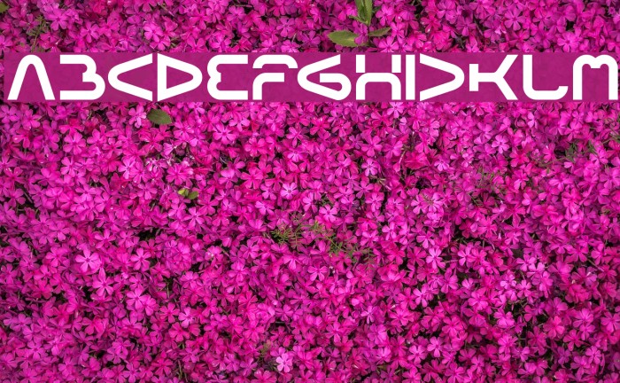 FORMAL ART Example 1