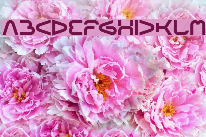 FORMAL ART Example 3