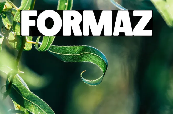 FORMAZ Example 2