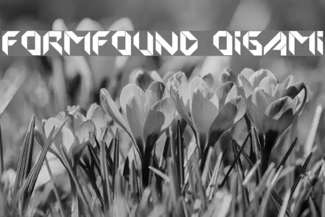 FORMFOUND Origami Шрифта examples