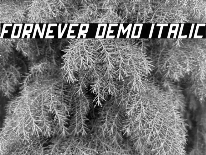 FORNEVER DEMO Italic Font examples