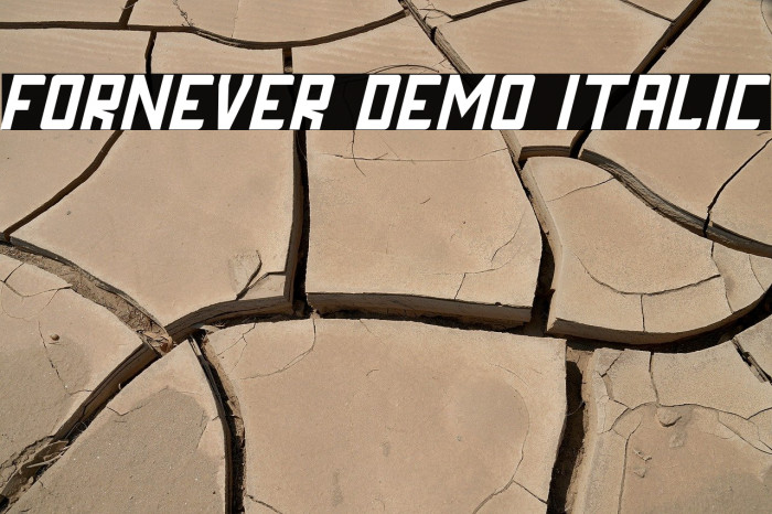 FORNEVER DEMO Italic Example 3