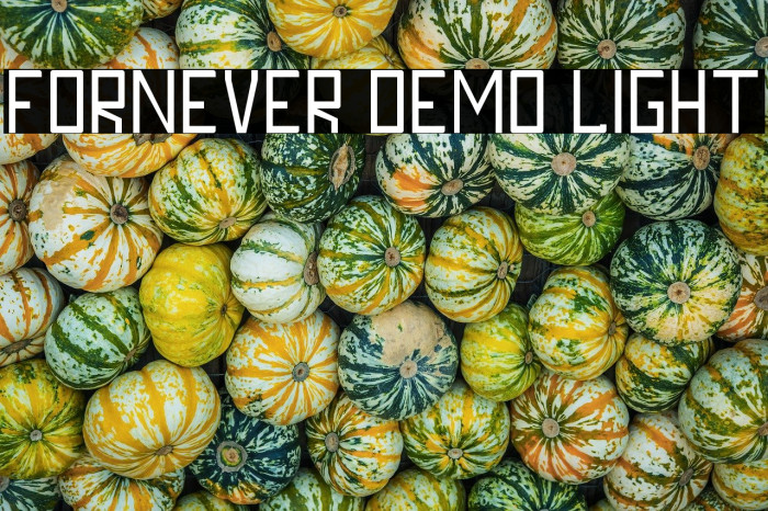 FORNEVER DEMO Light Example 1