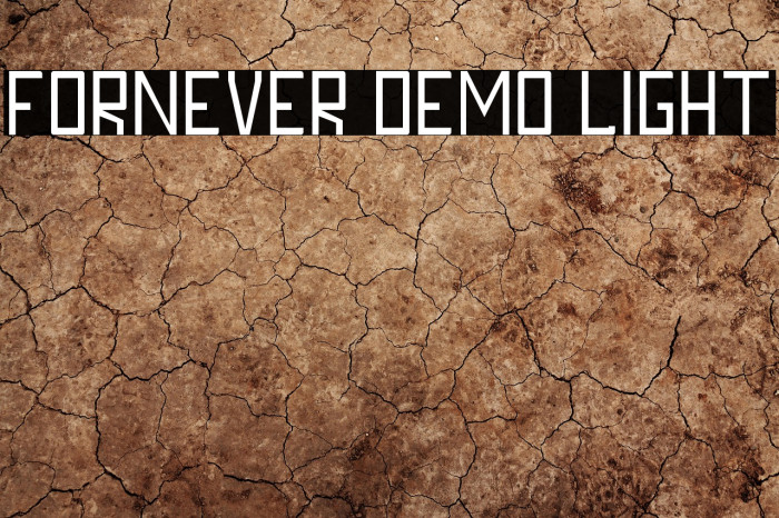 FORNEVER DEMO Light Example 2