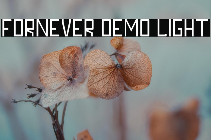 FORNEVER DEMO Light Example 3