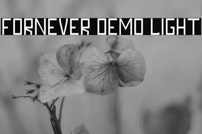 FORNEVER DEMO Light Font examples