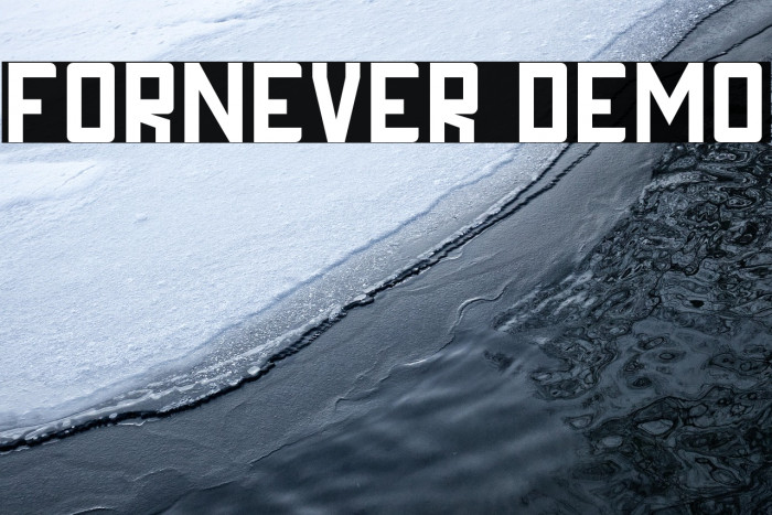 FORNEVER DEMO Example 3