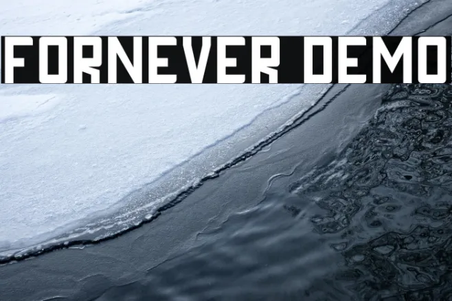 FORNEVER DEMO Example 3