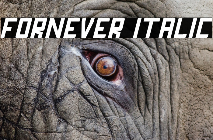 FORNEVER Italic Font examples