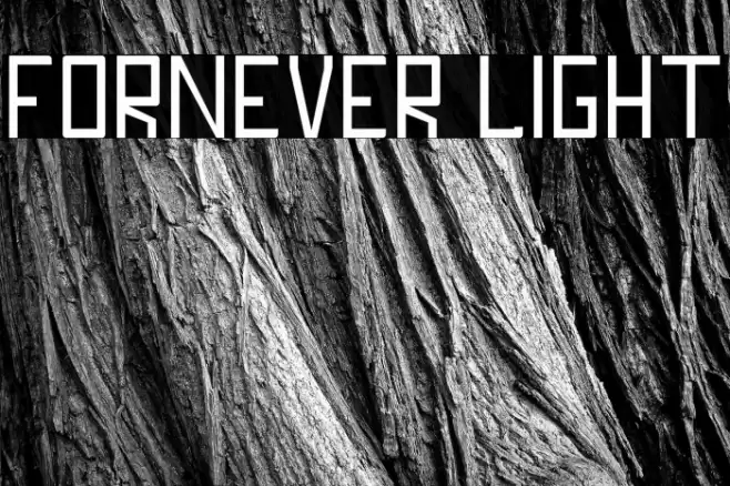 FORNEVER Light Font examples