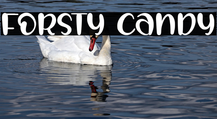 FORSTY CANDY Example 1