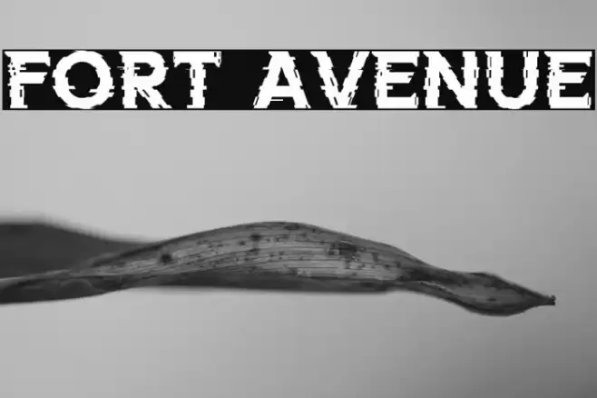 FORT AVENUE Font examples