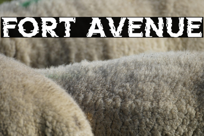 FORT AVENUE Example 2