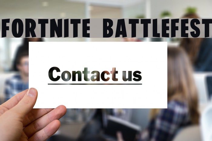 FORTNITE BATTLEFEST Example 2