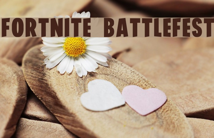 FORTNITE BATTLEFEST Example 3