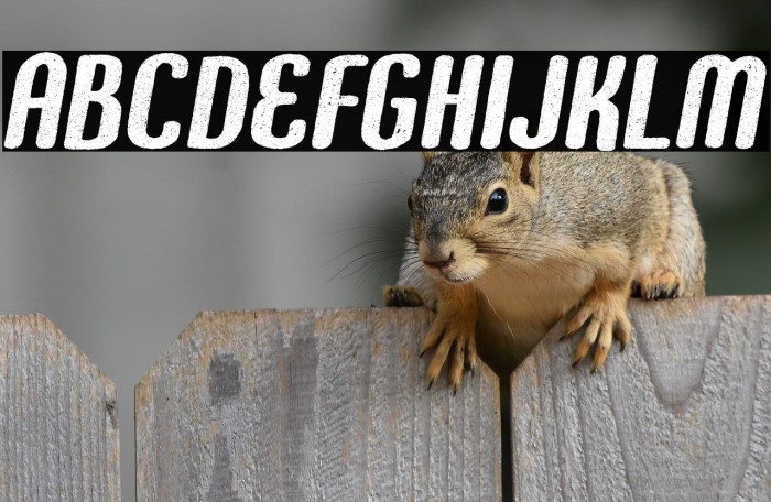 FOUNDER PERSONAL USE Bold Example 1