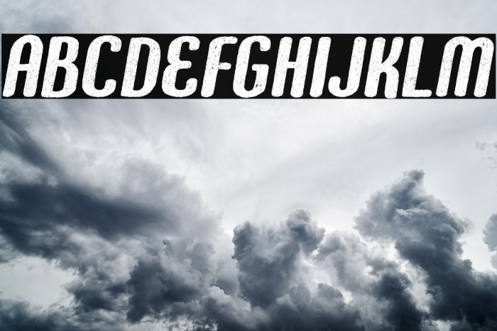 FOUNDER PERSONAL USE Bold Example 2