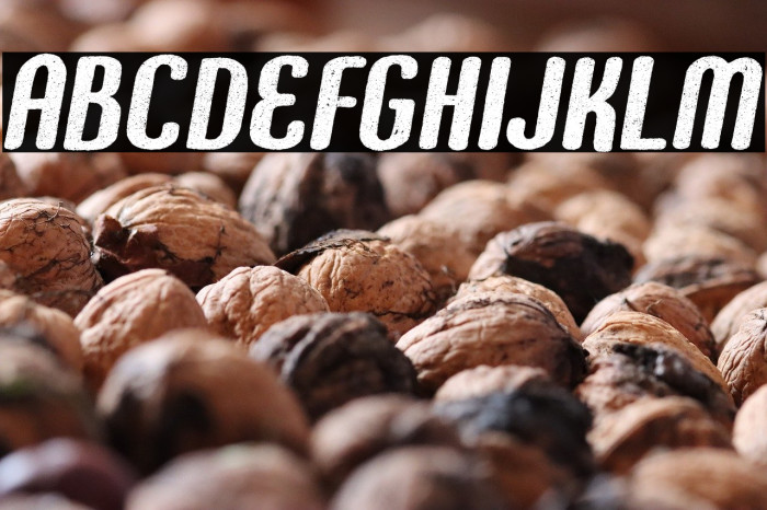 FOUNDER PERSONAL USE Bold Example 3