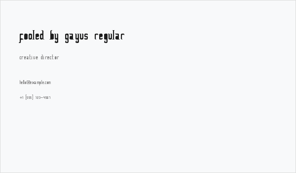 FoOleD bY GaYUs Regular Business Card