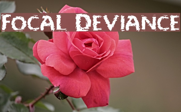 Focal Deviance Font examples