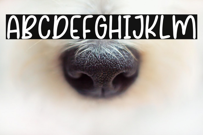 FocusQuotes Example 1