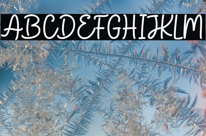 FocusQuotesScript Example 2