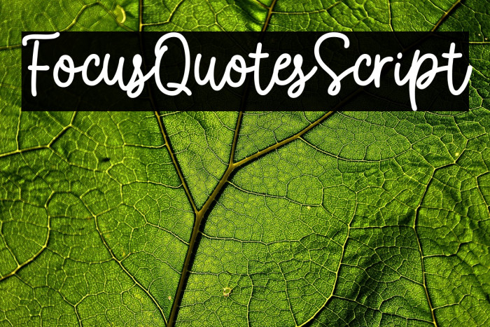 FocusQuotesScript Example 3