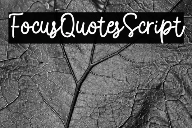 FocusQuotesScript Font examples