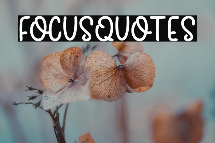 FocusQuotes Example 1