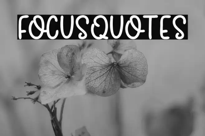 FocusQuotes Font examples