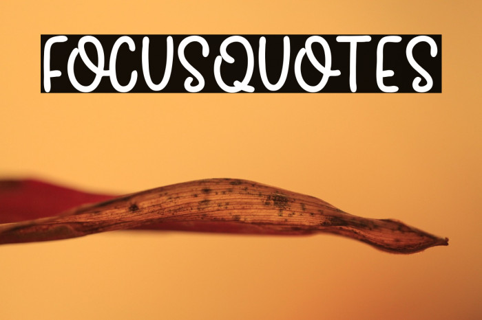 FocusQuotes Example 2