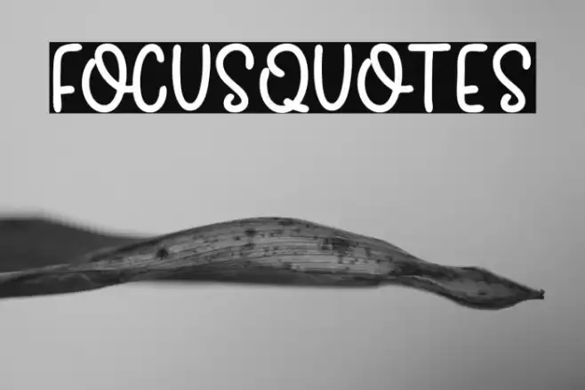FocusQuotes Font examples