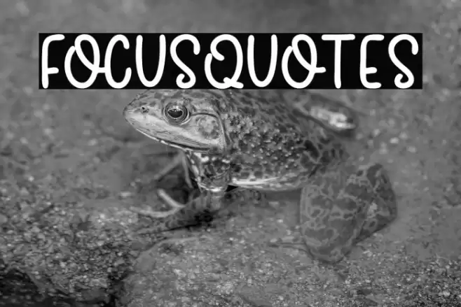 FocusQuotes Font examples