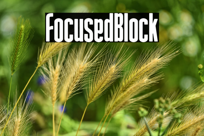 Focused Block Example 1