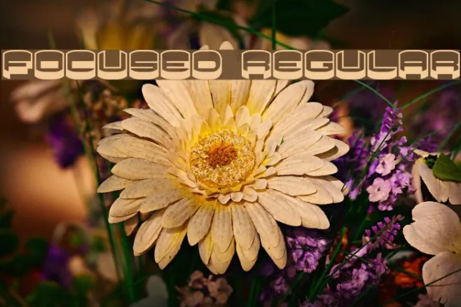 Focused Regular Example 2