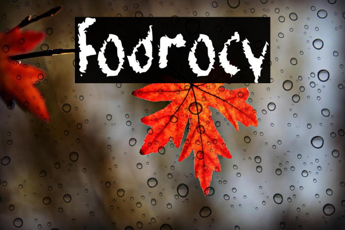 Fodrocy Example 1