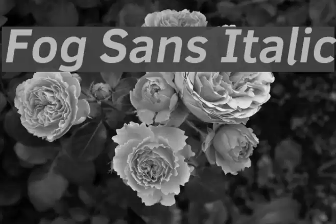 Fog Sans Italic  examples