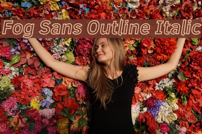 Fog Sans Outline Italic Font examples