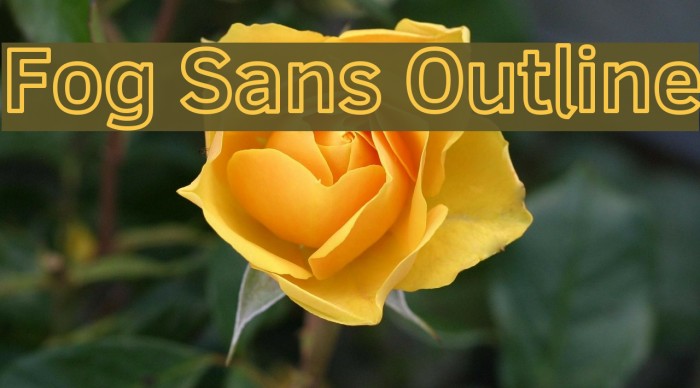 Fog Sans Outline Font examples
